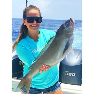 Meet your Posher, Alyssa